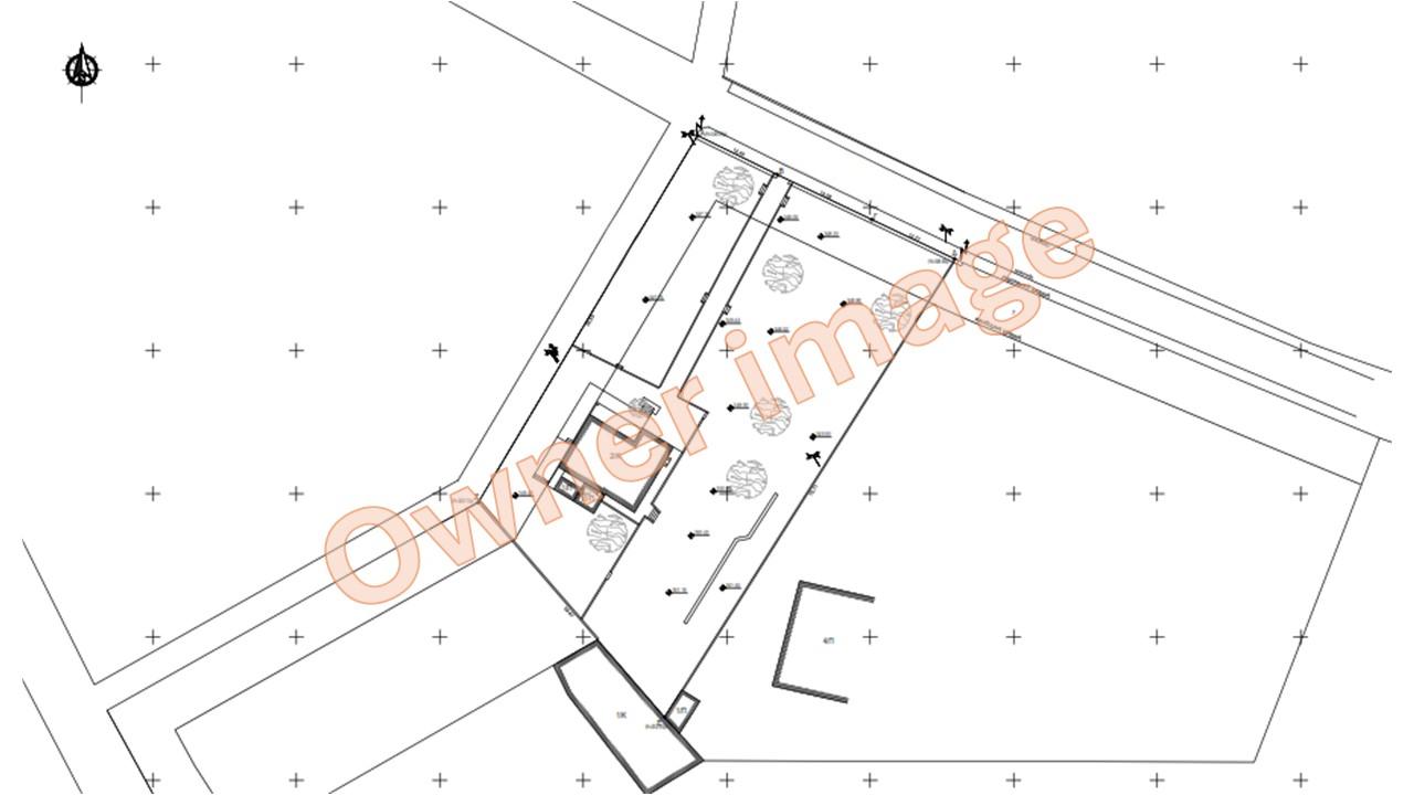 Topographic Snapshot